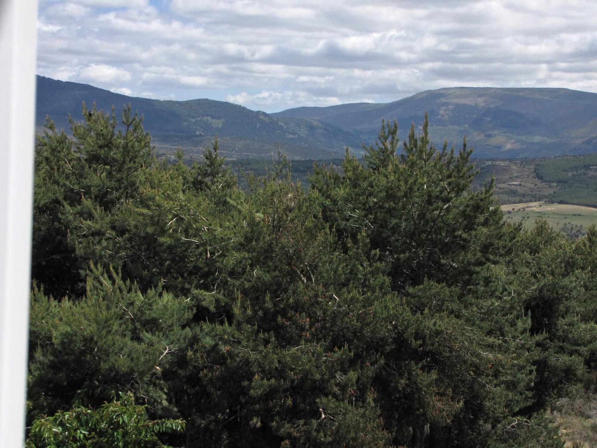 הוילה El Mirador De Tortoles מראה חיצוני תמונה